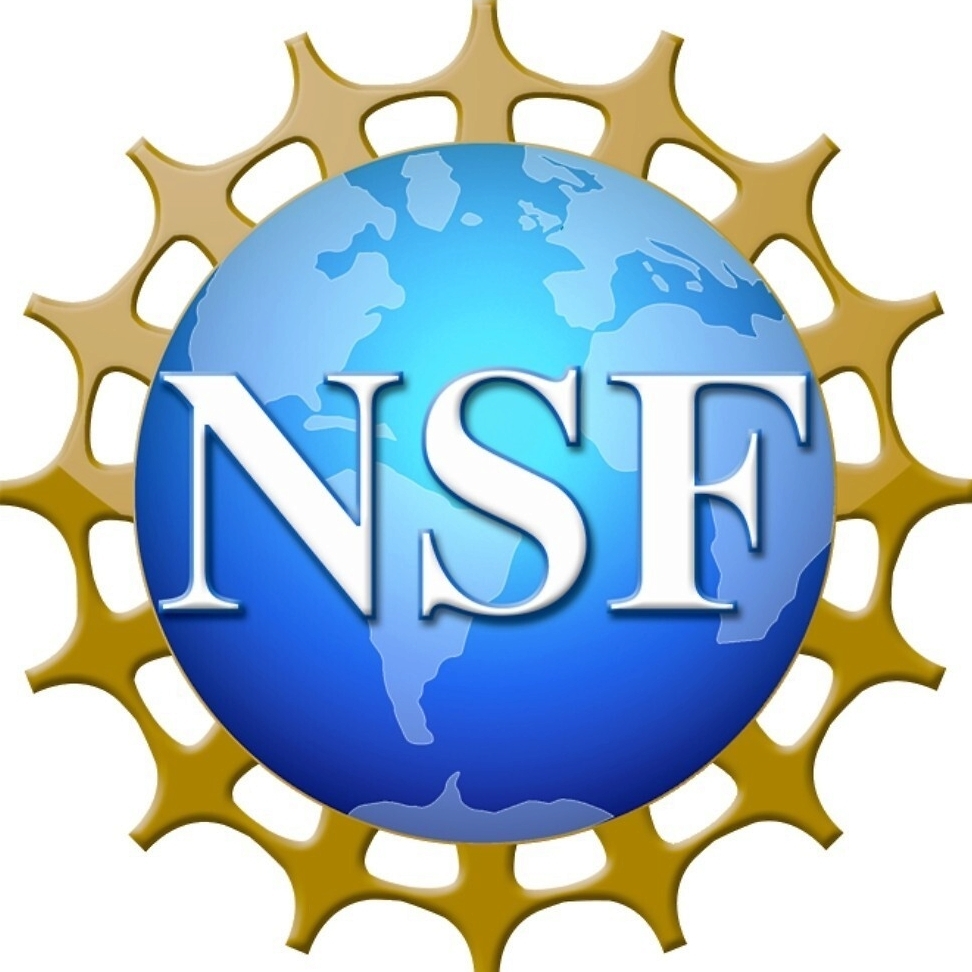 NSF Success in STEM Grant-Funded Scholarship